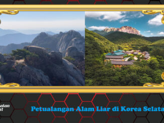 Petualangan Alam Liar di Korea Selatan